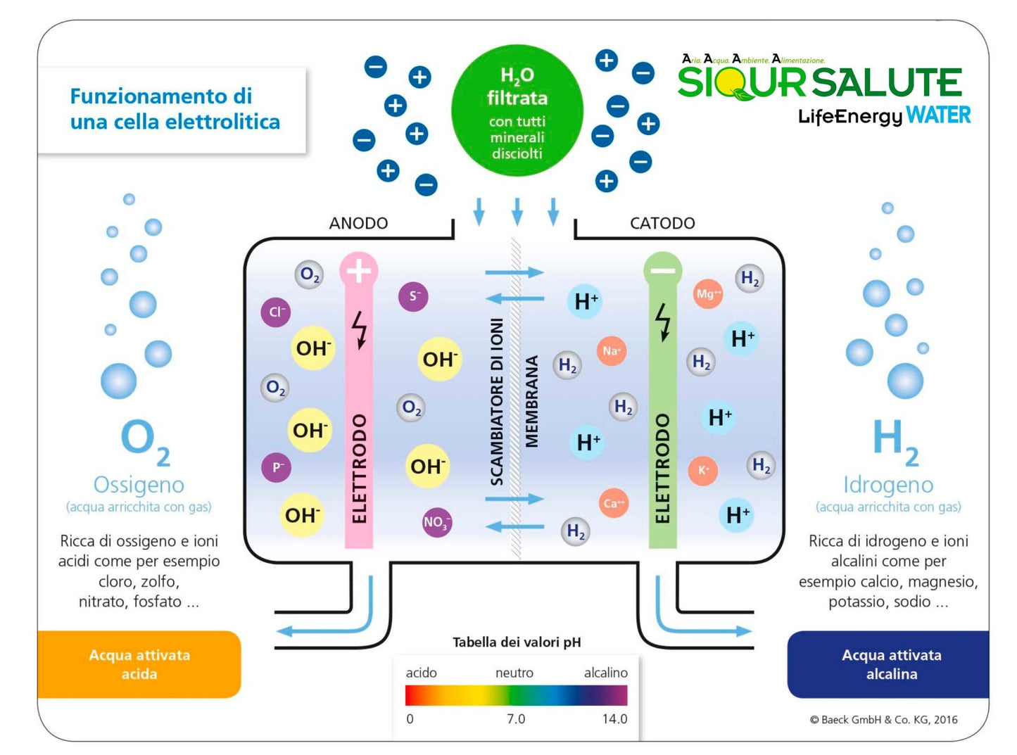 Purifier&Ionizer of water LifeEnergy WATER - StepByStep