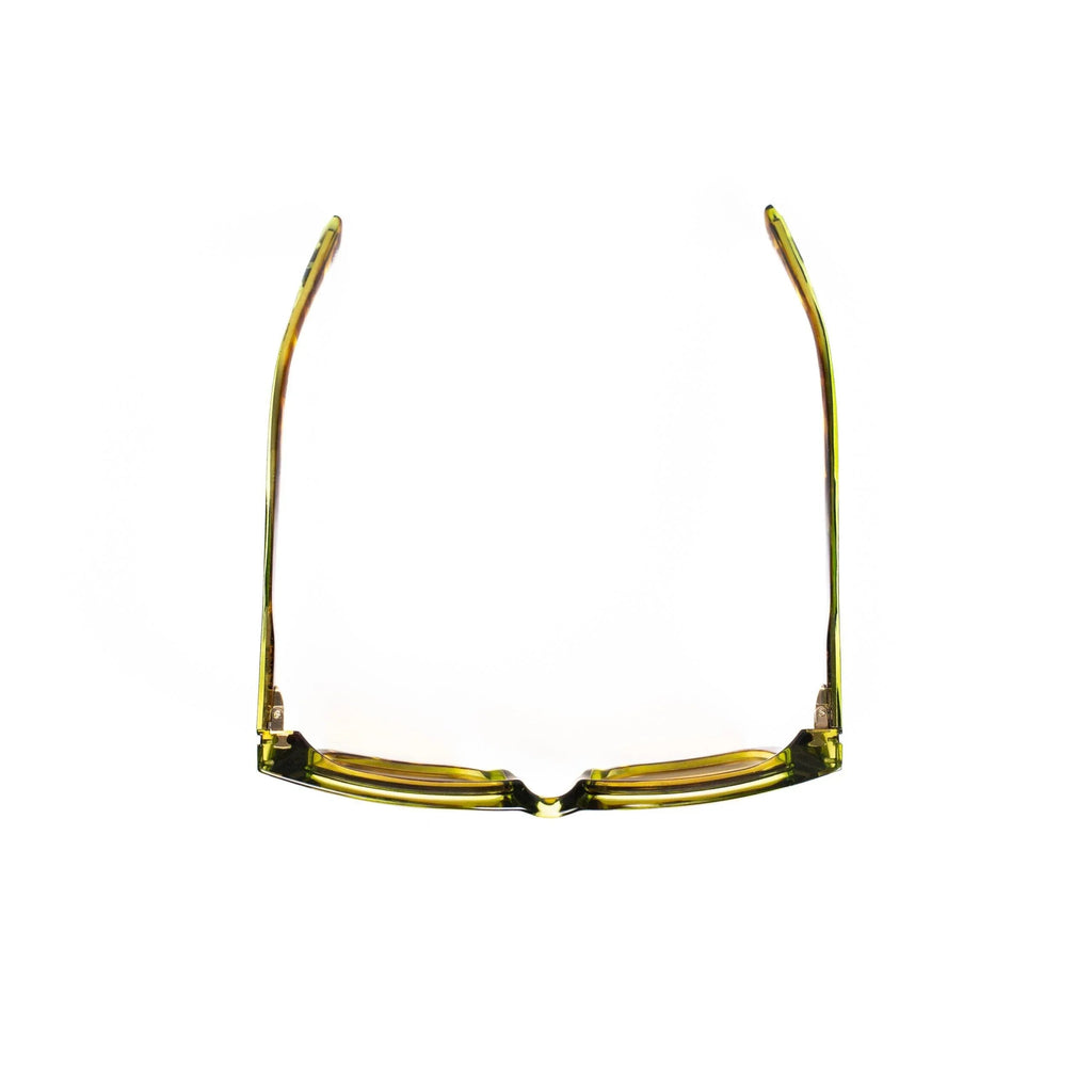 AirDP Coral Gable C23 sunglasses in Havana / tortoiseshell, green, transparent