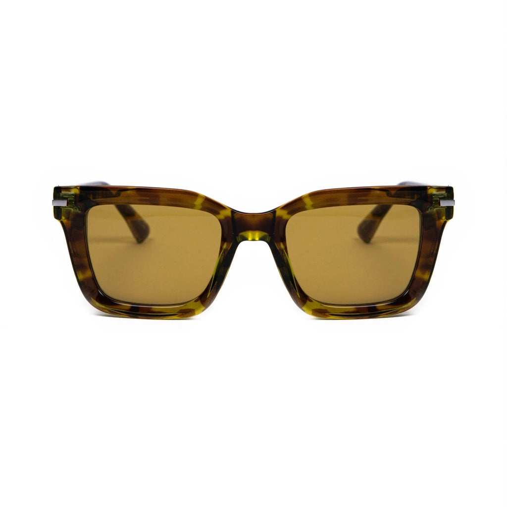 AirDP Coral Gable C23 sunglasses in Havana / tortoiseshell, green, transparent