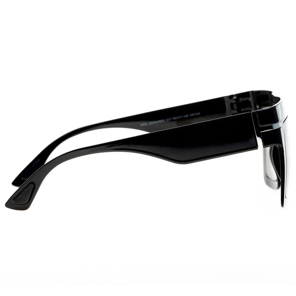 AirDP Leonardo C17 sunglasses