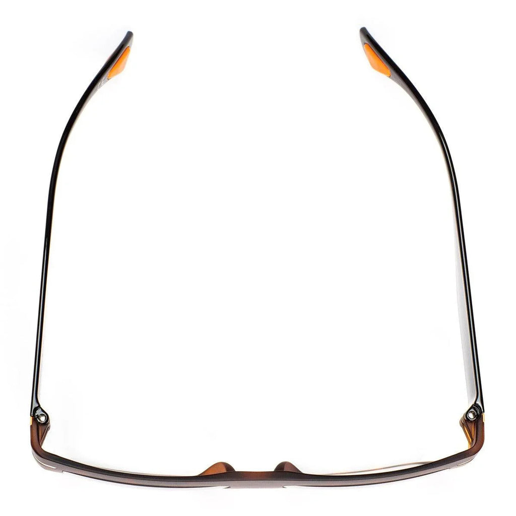 AirDP Leonardo C24 sunglasses in brown, animal print
