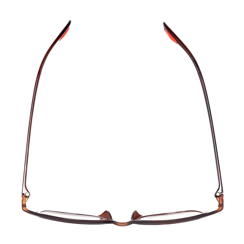 AirDP Luis C701 photochromic sunglasses in Havana / tortoiseshell, brown