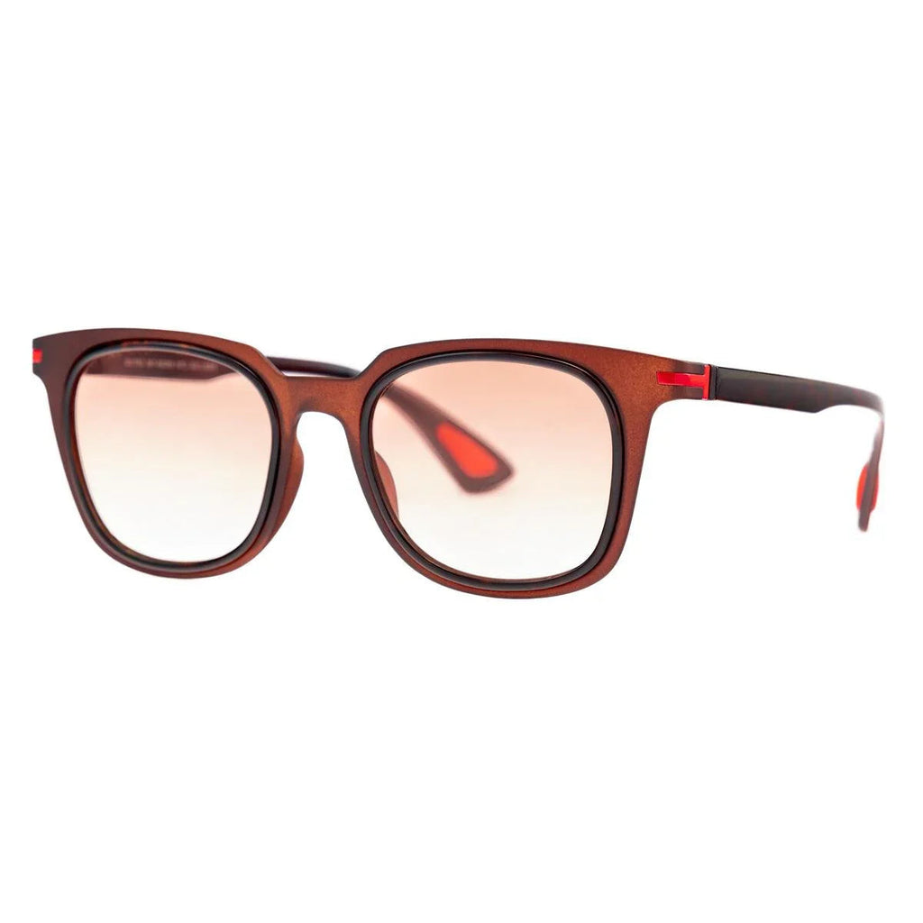AirDP Luis C701 photochromic sunglasses in Havana / tortoiseshell, brown