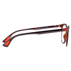 AirDP Luis C701 photochromic sunglasses in Havana / tortoiseshell, brown