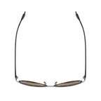 AirDP Miami C1 sunglasses in Havana / tortoiseshell, brown