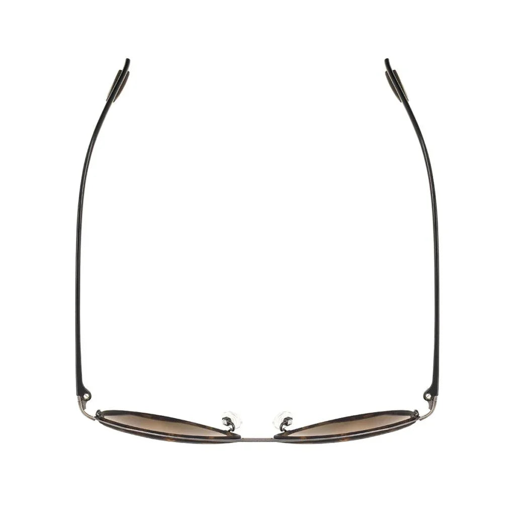 AirDP Miami C1 sunglasses in Havana / tortoiseshell, brown