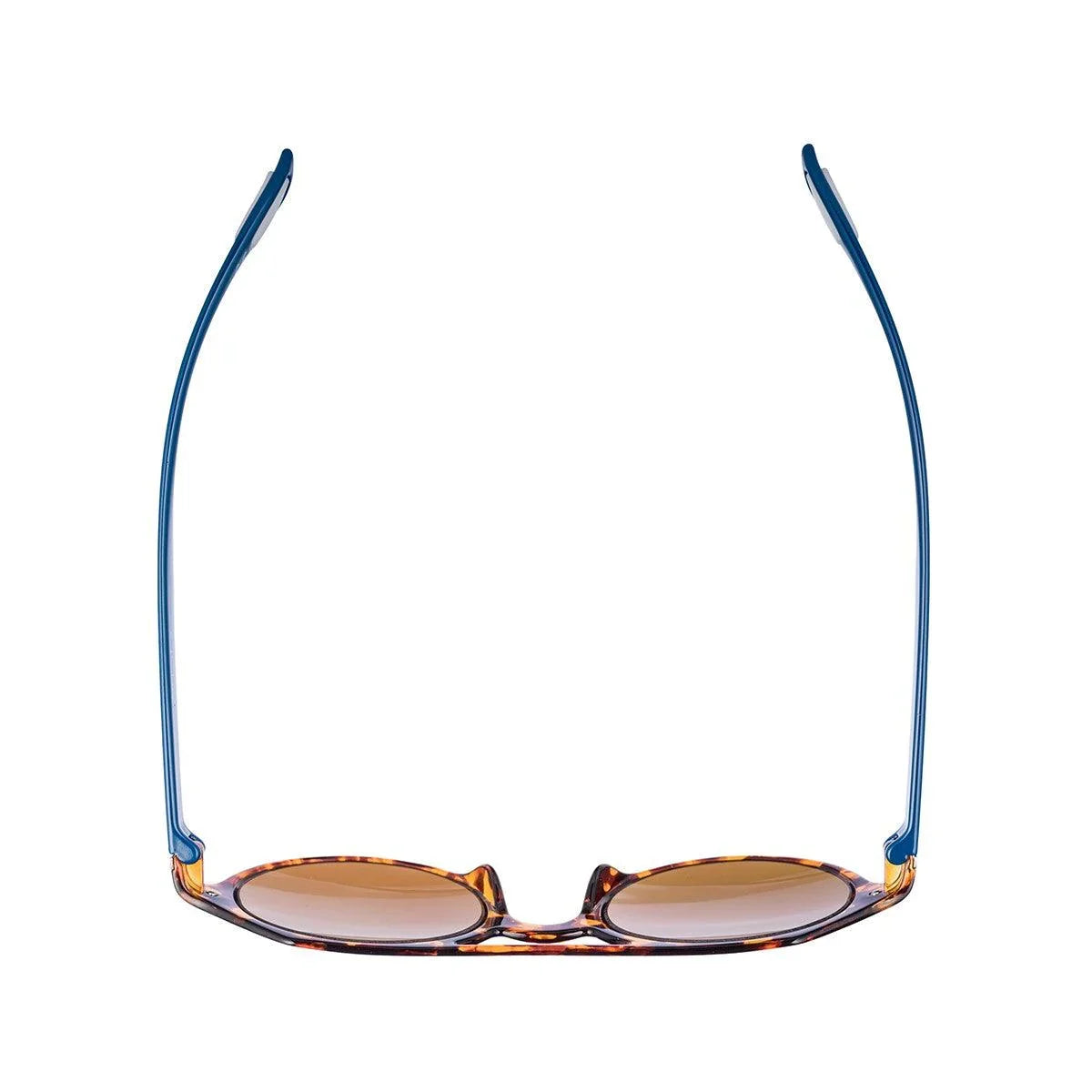 AirDP Piero C1 sunglasses in Havana / tortoiseshell, blue, brown
