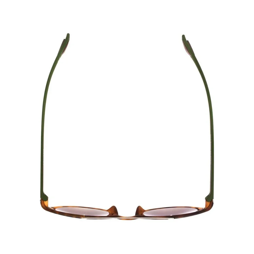 AirDP Sonia C3 sunglasses in grey, brown, green