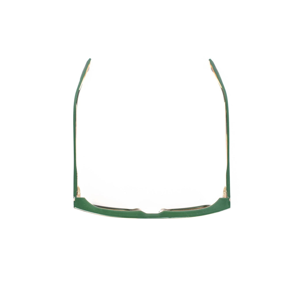 AirDP South Beach C4 sunglasses in brown, green, transparent