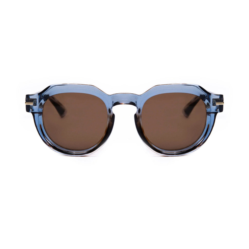 AirDP Sunny Island C14 sunglasses in Havana / tortoiseshell, light blue