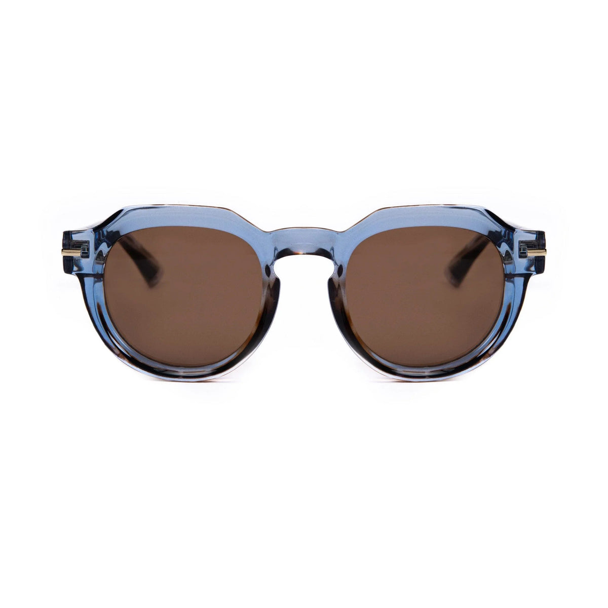 AirDP Sunny Island C14 sunglasses in Havana / tortoiseshell, light blue