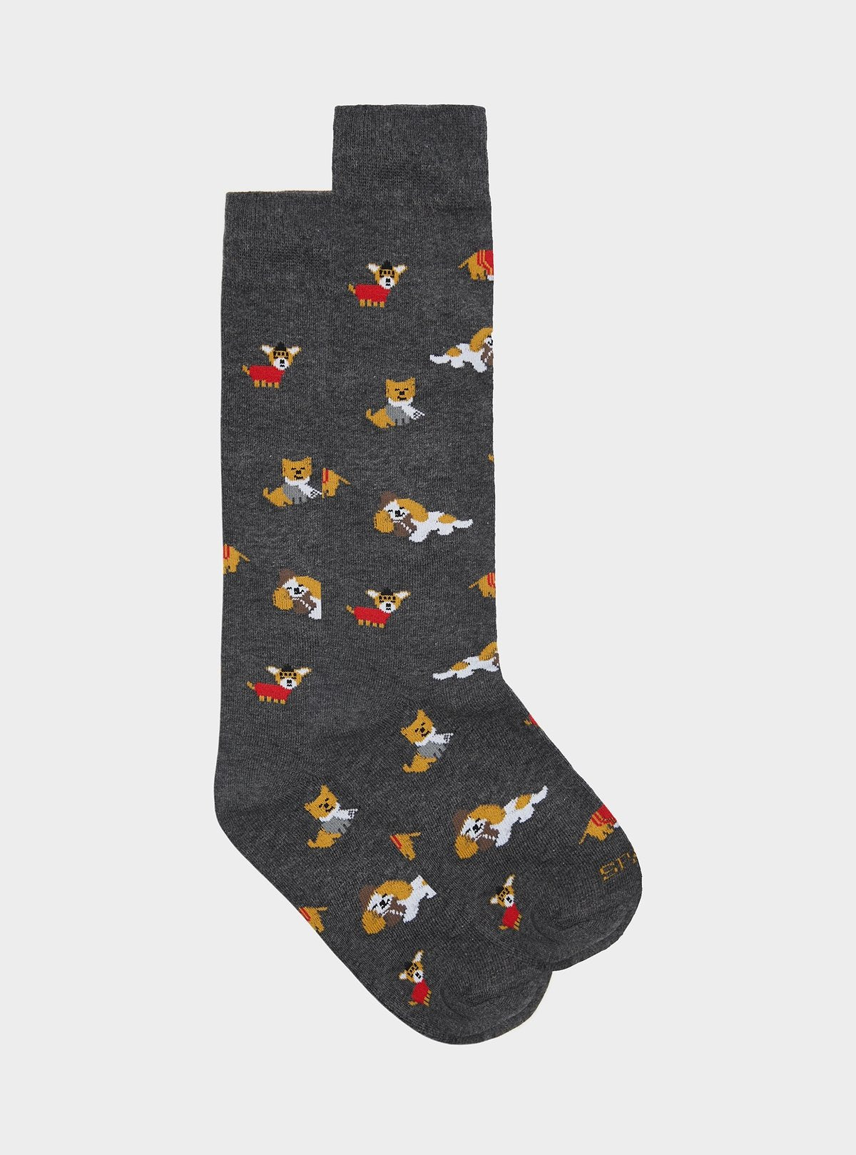 Calza fantasia cane - StepByStep