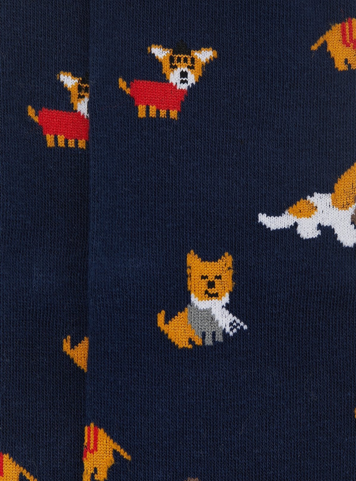 Calza fantasia cane - StepByStep