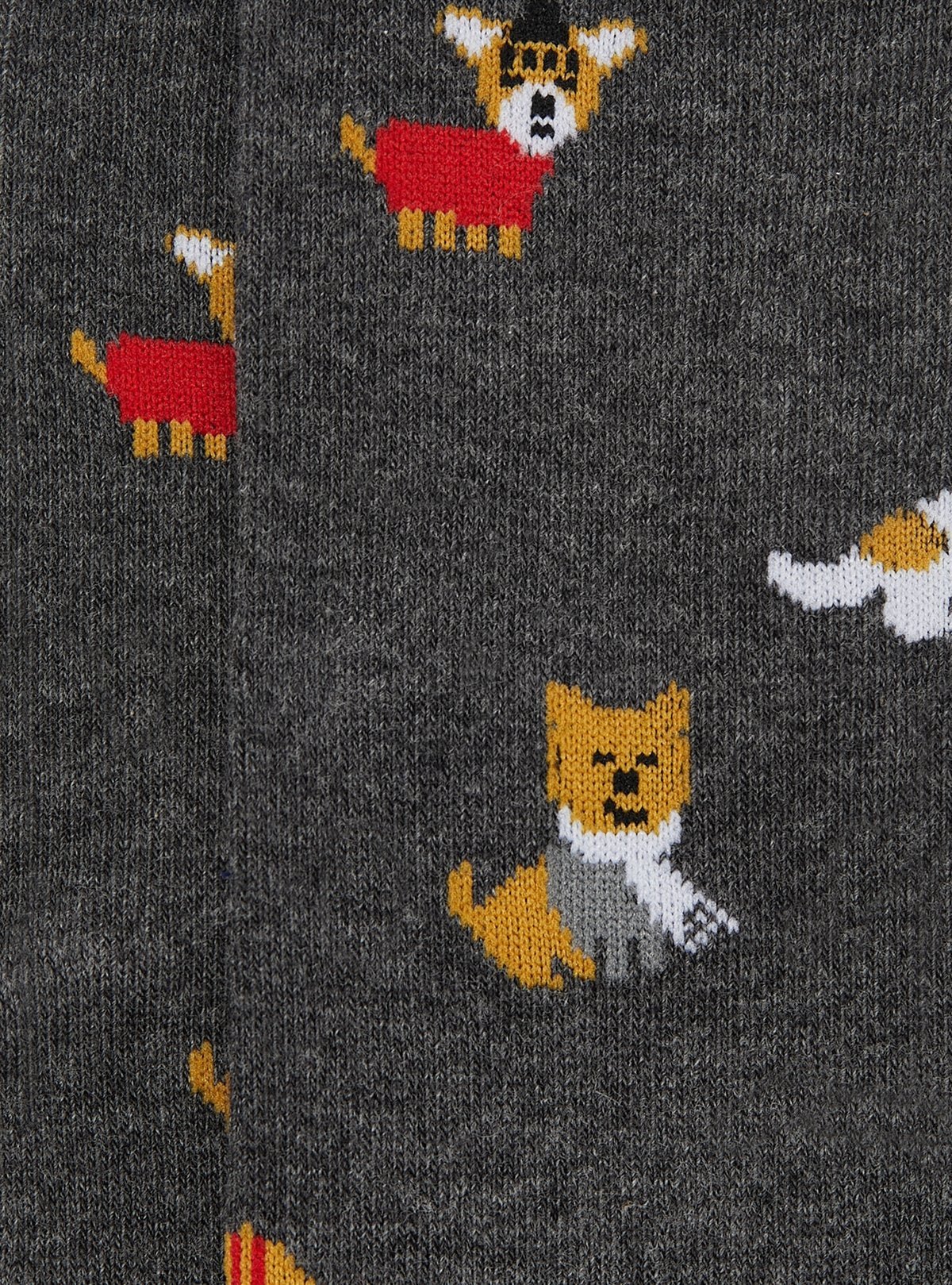 Calza fantasia cane - StepByStep