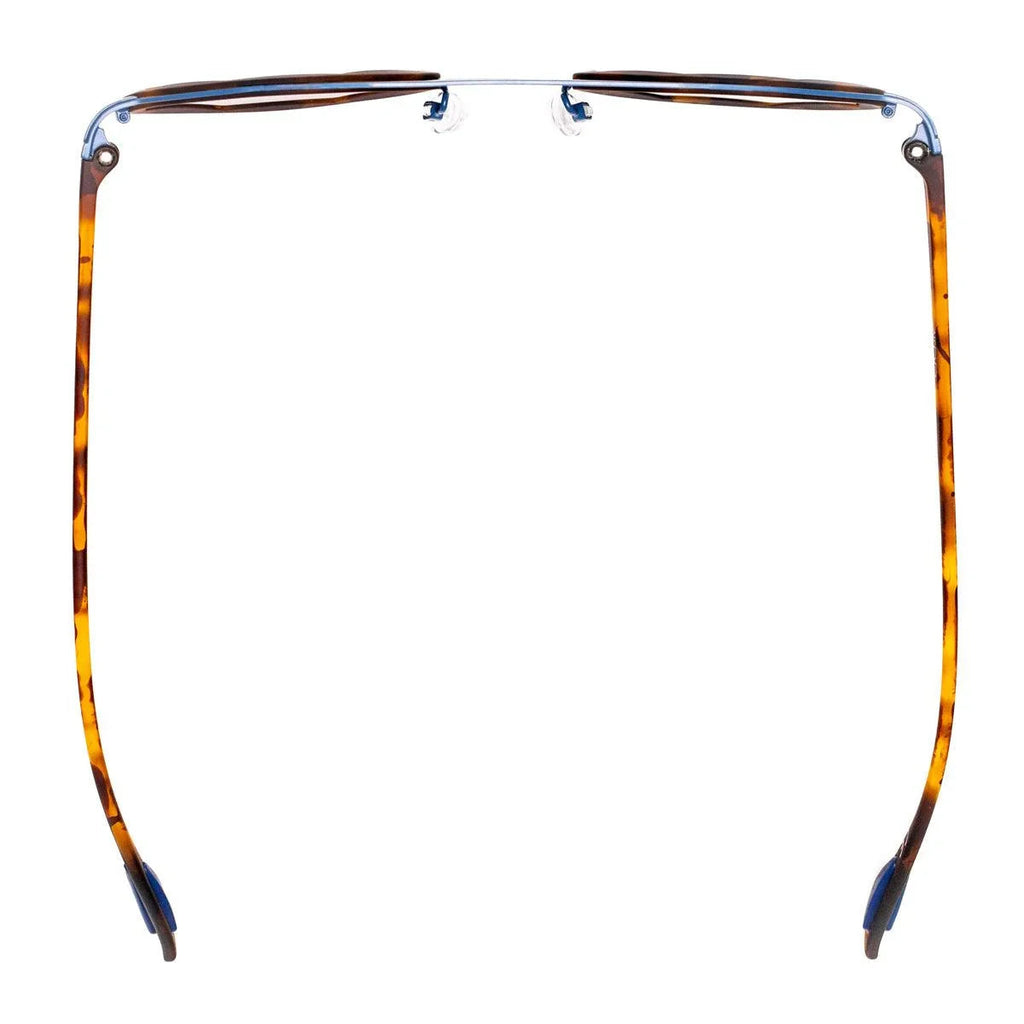 AirDP London C1 sunglasses in Havana / tortoiseshell, light blue, brown
