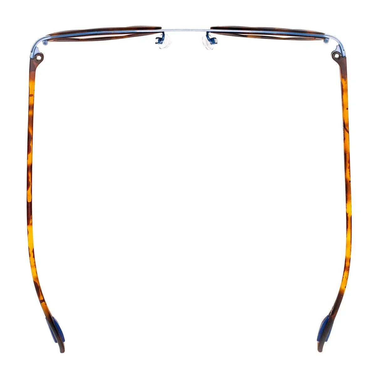 AirDP London C1 sunglasses in Havana / tortoiseshell, light blue, brown