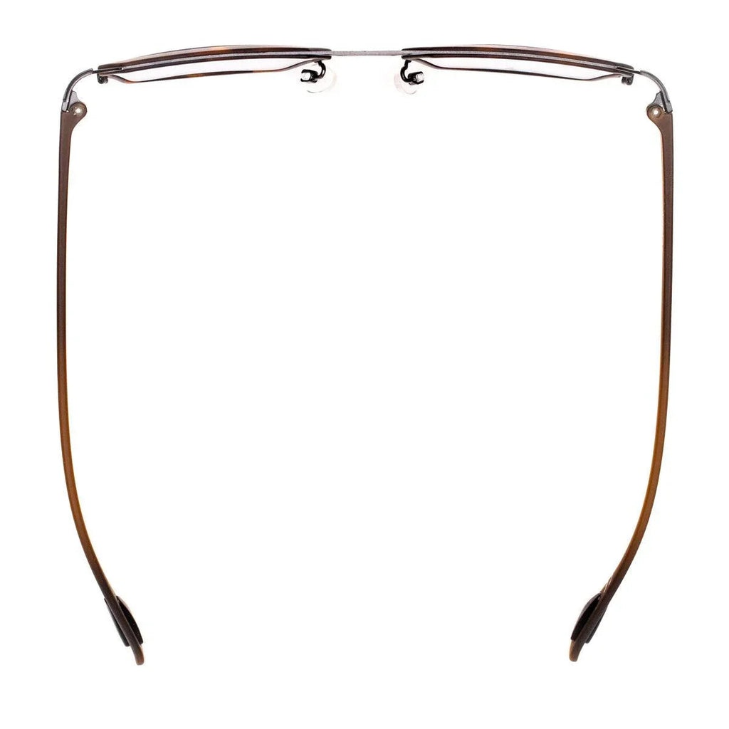 AirDP New York C1 sunglasses in Havana / tortoiseshell, grey, brown