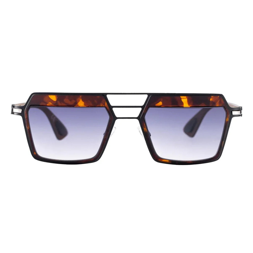 AirDP New York C1 sunglasses in Havana / tortoiseshell, grey, brown