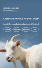 Nuovo cardigan con cappuccio lavorato a maglia in cashmere 100% da donna di alta qualità Cappotto con cerniera autunno inverno Maglione spesso comfort casual di lusso - StepByStepNow