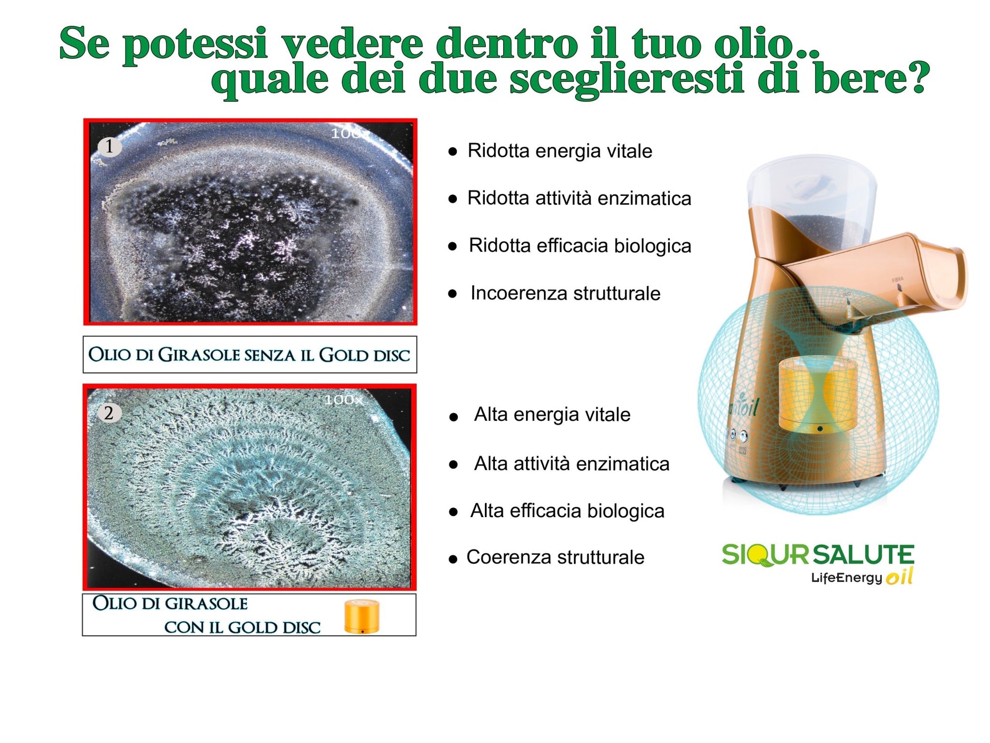 Oil mill LifeEnergy OIL - StepByStep