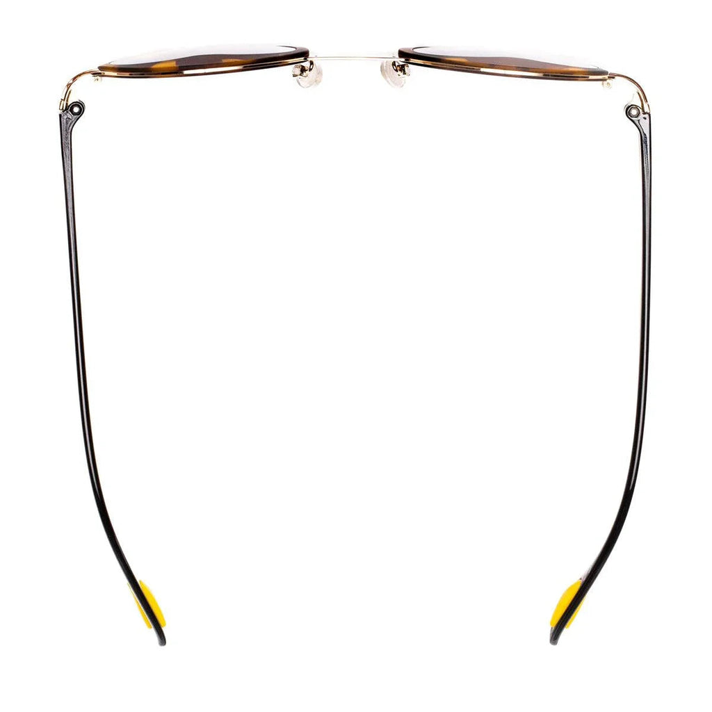 AirDP Paris C1 sunglasses in Havana / tortoiseshell, gold, brown