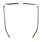 AirDP Paris C1 sunglasses in Havana / tortoiseshell, gold, brown