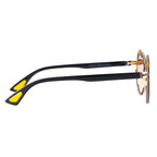 AirDP Paris C1 sunglasses in Havana / tortoiseshell, gold, brown