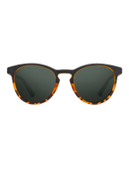 PASTEUR - StepByStep