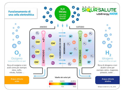 Purifier&Ionizer of water LifeEnergy WATER - StepByStep
