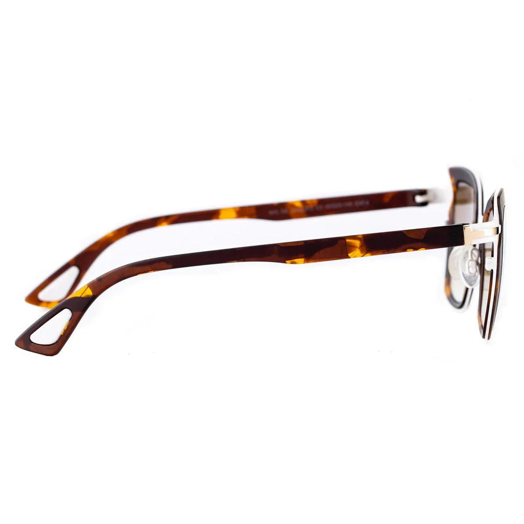 AirDP Rio de Janeiro C3 sunglasses in Havana / tortoiseshell, gold, brown