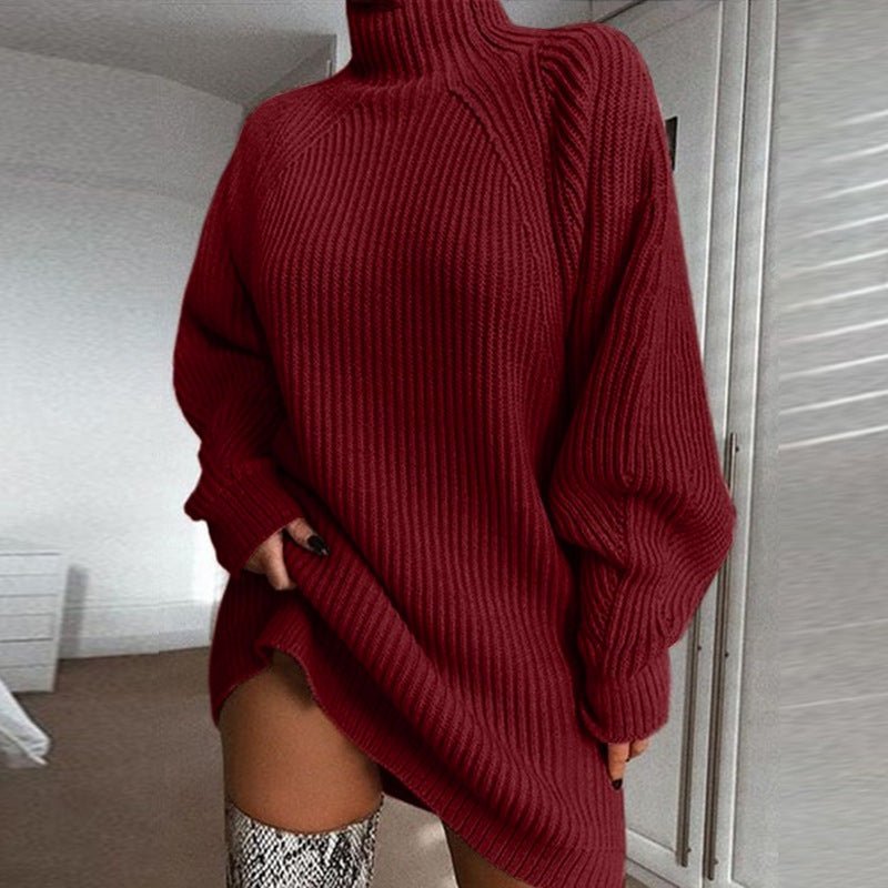 Solid Turtleneck Long Sweater Winter Warm Women Sweater Dress - StepByStepNow