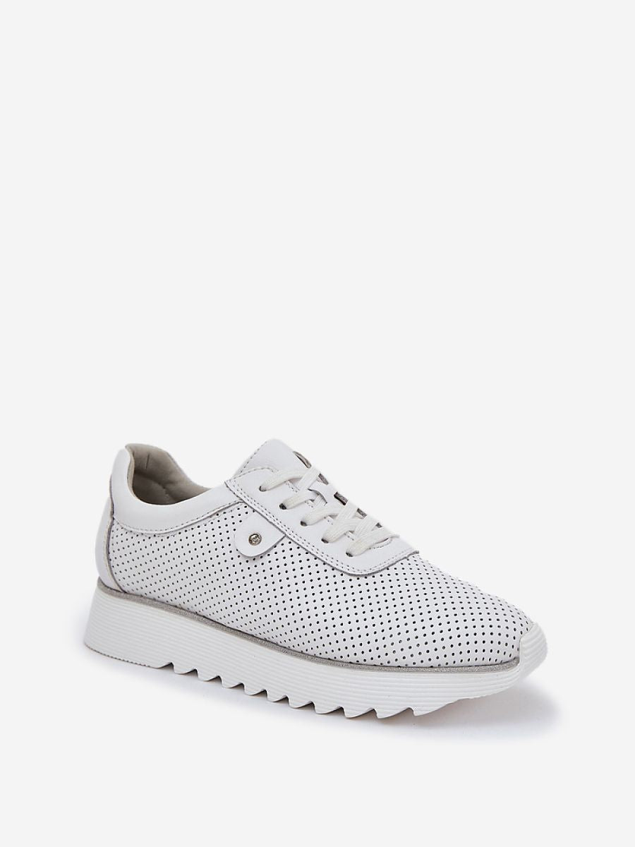 Sport Shoes model 209068 Step in style - StepByStep